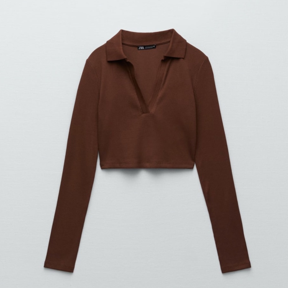 Zara Brown Collared Crop Top